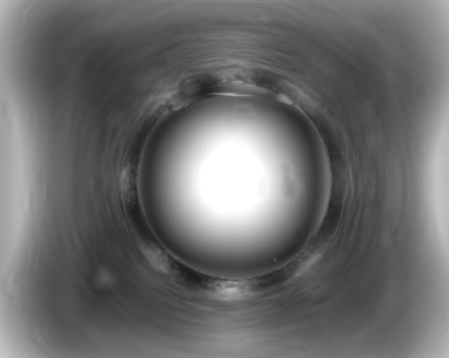 X0000085780088200703161216