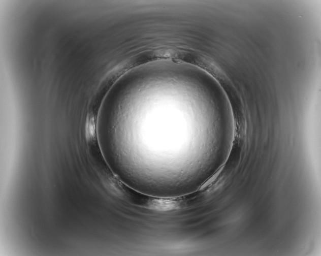 X0000085780095200703161216