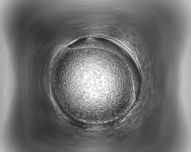 X0000085780097200703161215