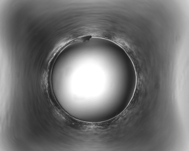 X0000085780098200703161215