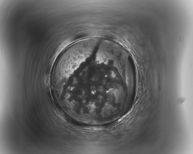 X0000085780099200703161215