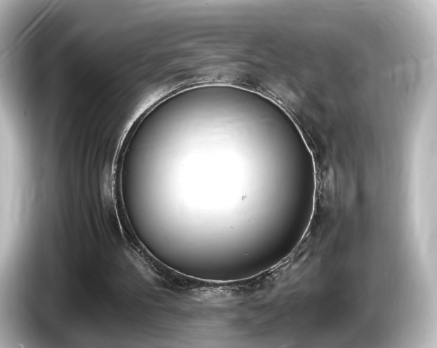 X0000085780100200703161215