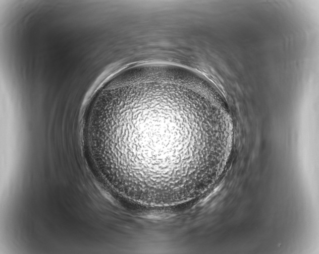 X0000085780101200703161215