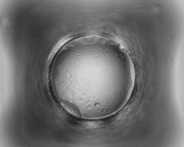 X0000085780103200703161215