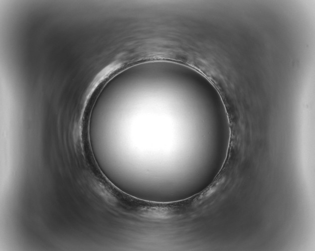 X0000085780104200703161215