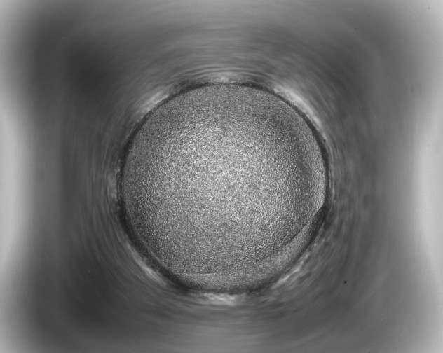 X0000085780105200703161215