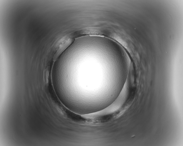 X0000085780109200703161215