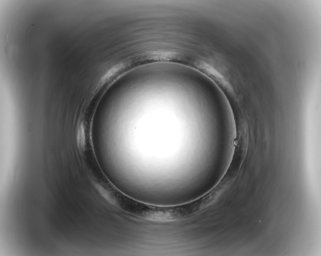 X0000085780110200703161215