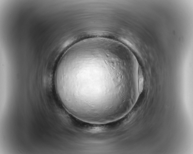 X0000085780111200703161215