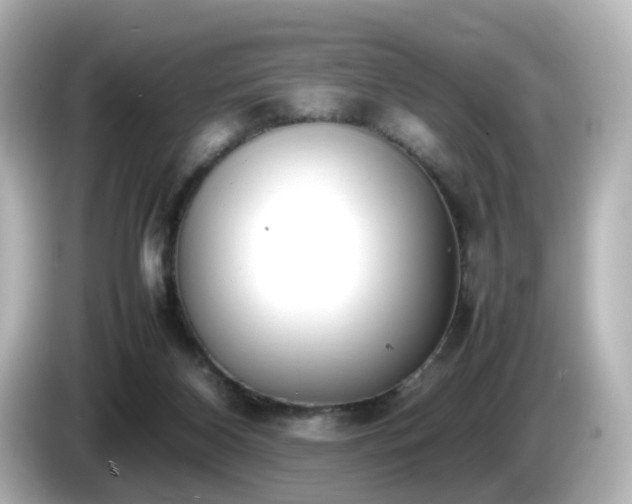 X0000085780116200703161215