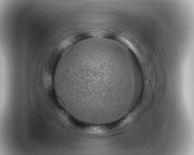 X0000085780117200703161215