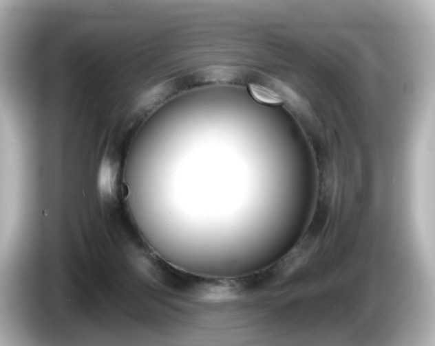 X0000085780118200703161215