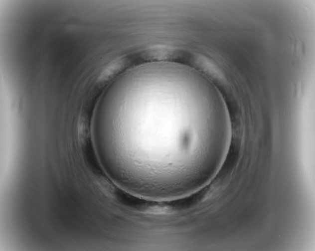 X0000085780119200703161215