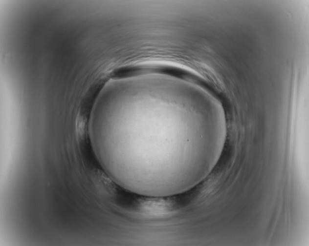 X0000085780123200703161215