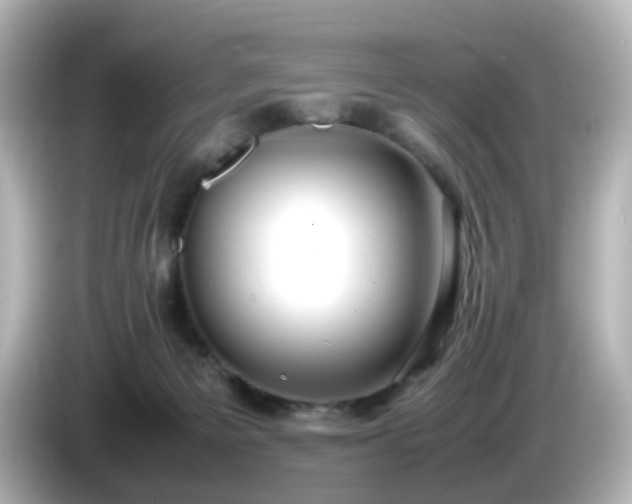 X0000085780125200703161215