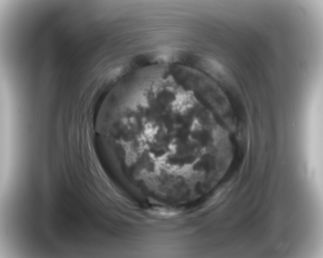 X0000085780127200703161215