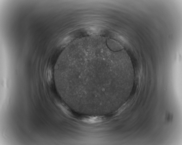 X0000085780130200703161215