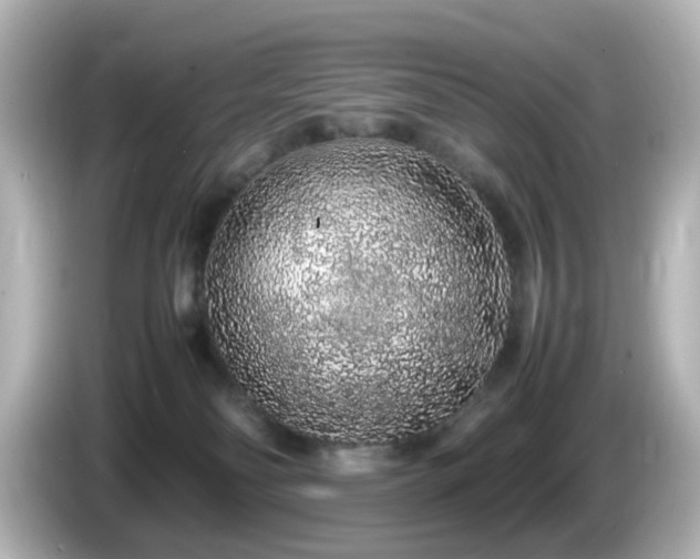 X0000085780134200703161215