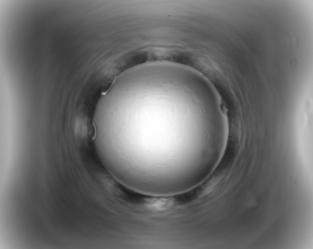 X0000085780135200703161215