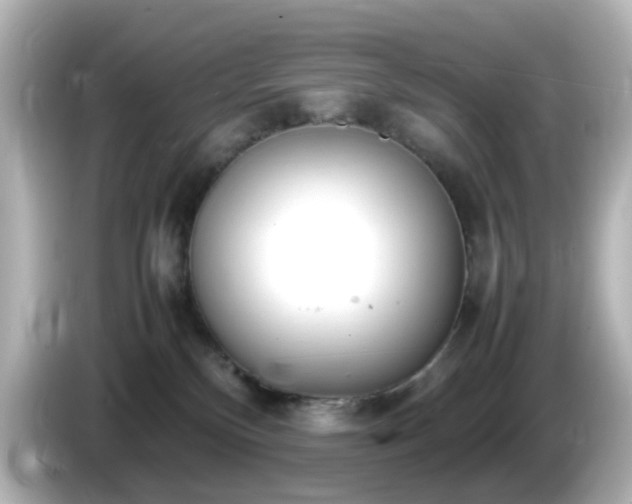 X0000085780136200703161215