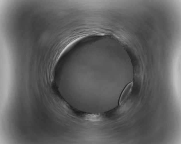 X0000085780139200703161215