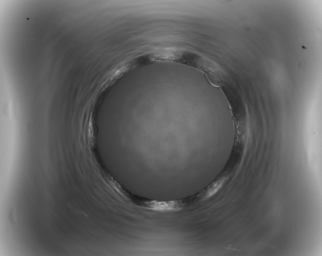 X0000085780143200703161214