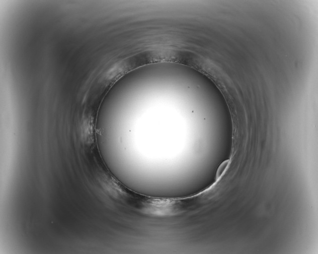 X0000085780144200703161214