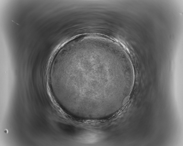 X0000085780145200703161214