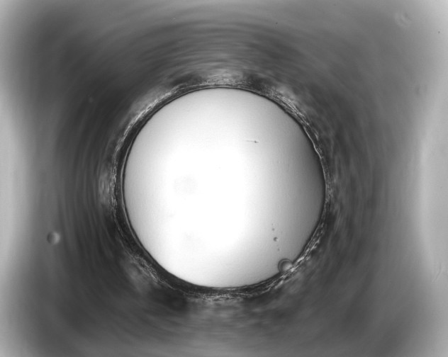 X0000085780146200703161214