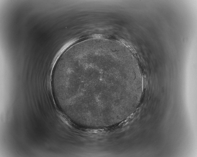 X0000085780147200703161214