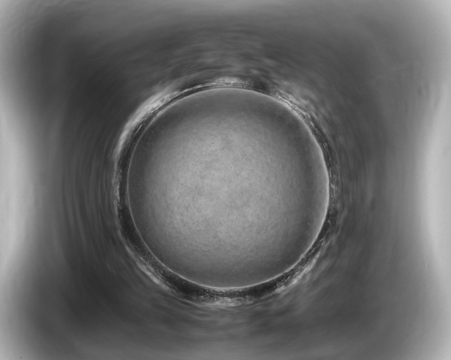 X0000085780149200703161214