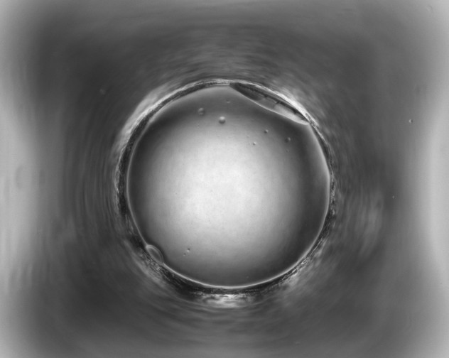 X0000085780151200703161214