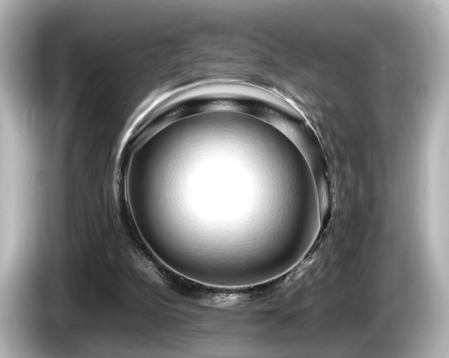 X0000085780152200703161214