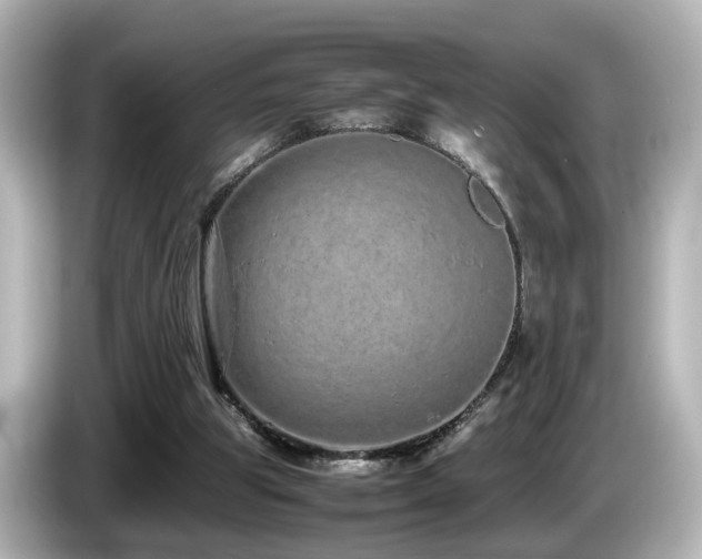 X0000085780153200703161214