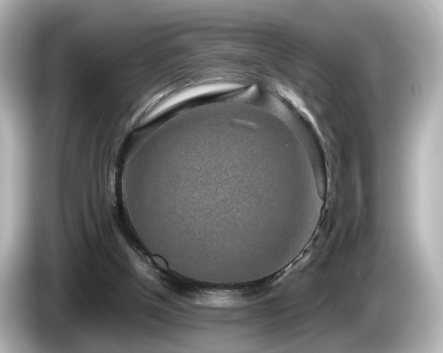 X0000085780154200703161214