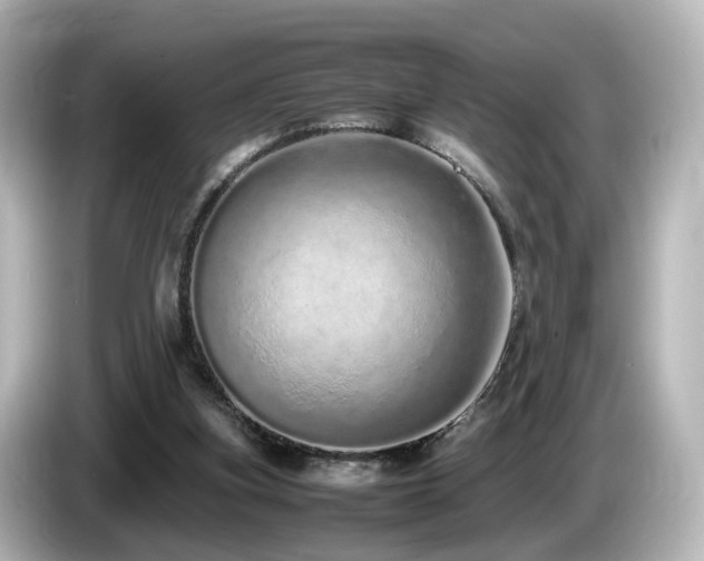 X0000085780155200703161214