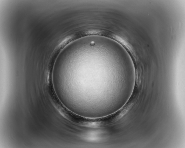 X0000085780157200703161214