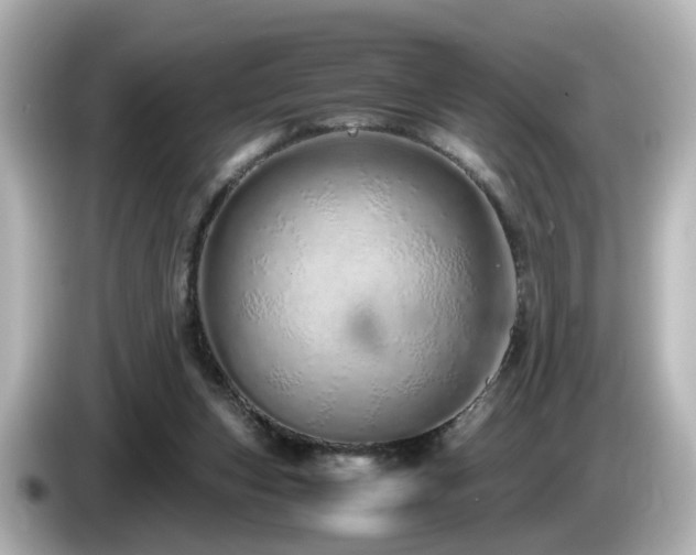 X0000085780159200703161214