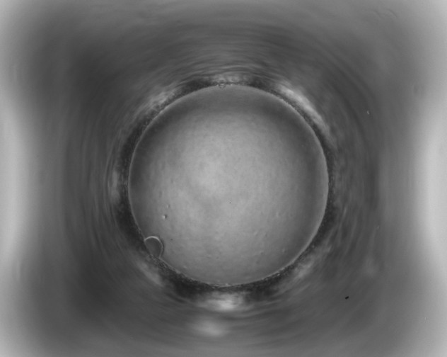 X0000085780161200703161214