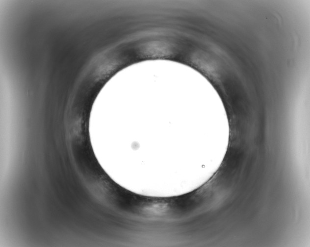 X0000085780162200703161214