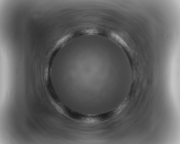 X0000085780163200703161214