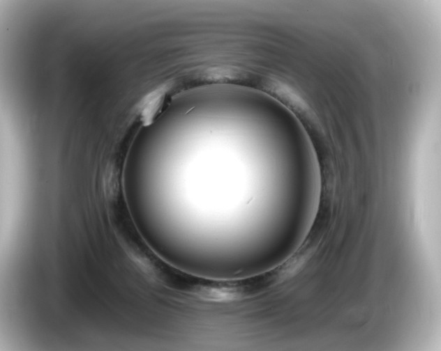 X0000085780164200703161214