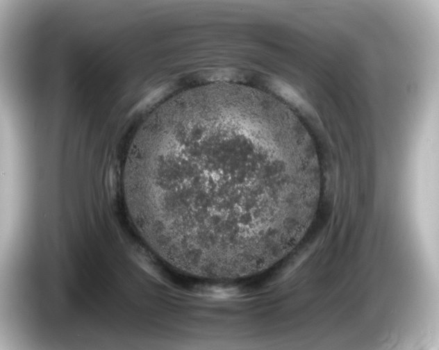 X0000085780165200703161214