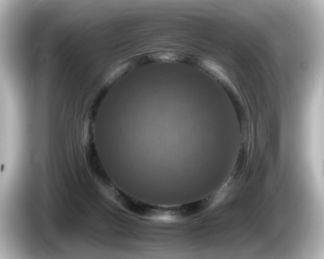 X0000085780167200703161214