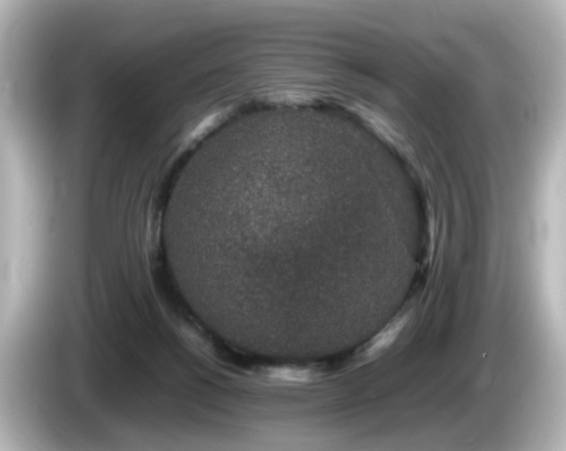 X0000085780168200703161214