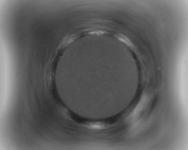 X0000085780169200703161214