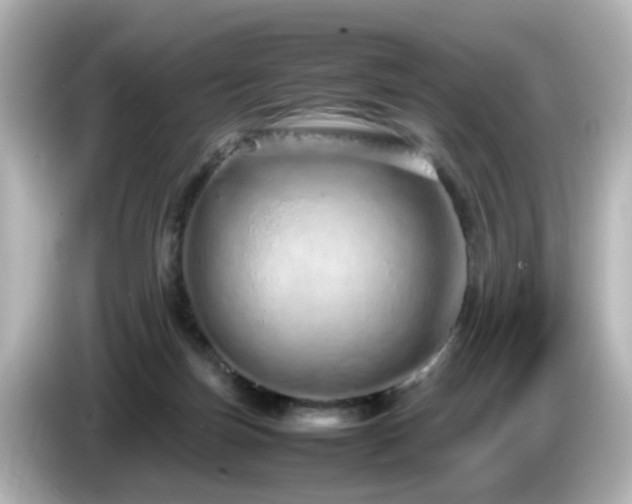 X0000085780171200703161214