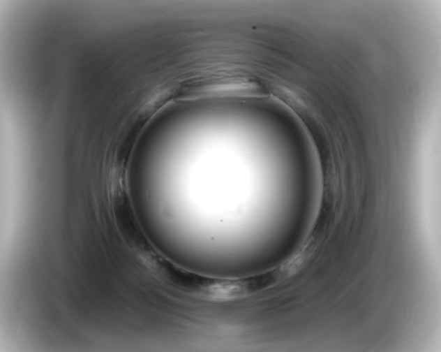 X0000085780172200703161214