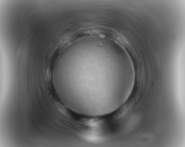 X0000085780173200703161214