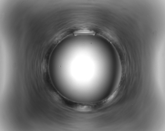 X0000085780174200703161214